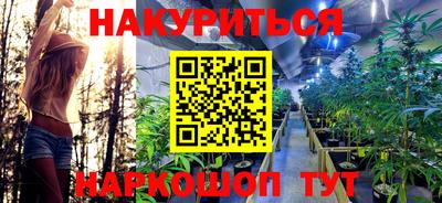 прущие грибы Малгобек