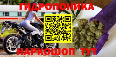 гидропоника Мариинск