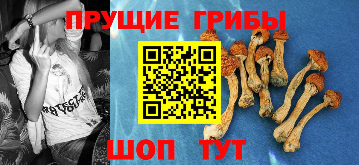 наркота  Галлюциногенные грибы ЛСД  Псилоцибиновые грибы Psilocybine cubensis  Вход с VPN  Домодедово 